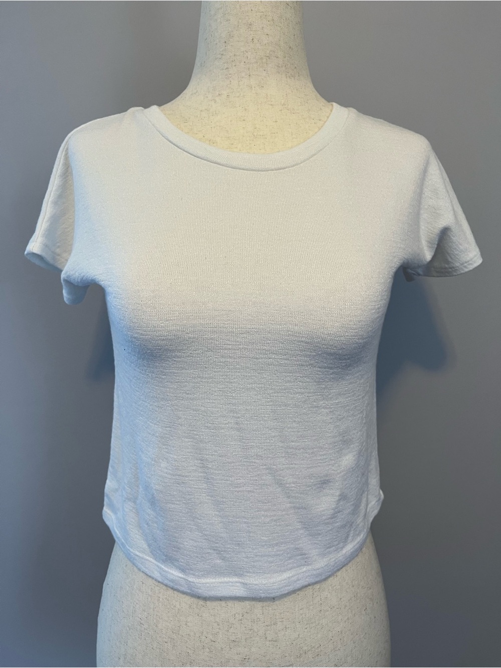 Aritzia White Ribbed Short Sleeve Crop Top